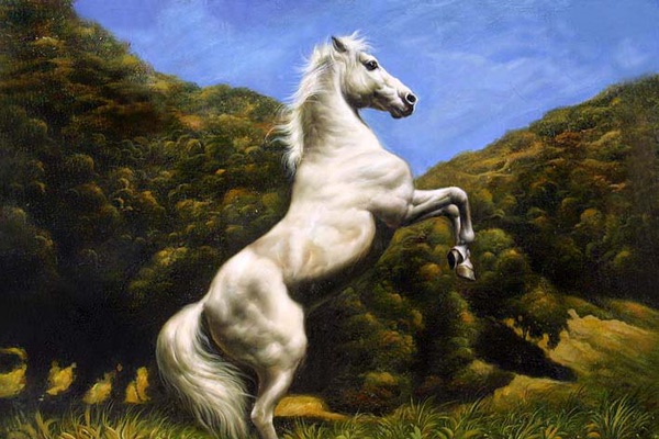 Рисунки конь на дыбах (37 фото)